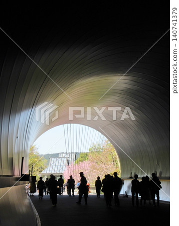 Cherry blossoms reflected in the tunnel at Miho Museum Cherry blossoms reflected in the tunnel at Miho Museum 140741379