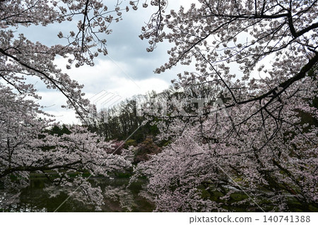 Mt. Utatsu in full bloom Mt. Utatsu in full bloom 140741388