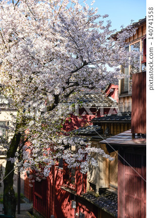 Beautiful cherry blossoms at Kazuemachi Chaya District Beautiful cherry blossoms at Kazuemachi Chaya District 140741558