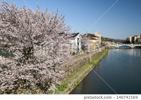 Beautiful cherry blossoms at Kazuemachi Chaya District Beautiful cherry blossoms at Kazuemachi Chaya District 140741569
