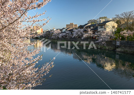 Beautiful cherry blossoms at Kazuemachi Chaya District Beautiful cherry blossoms at Kazuemachi Chaya District 140741577