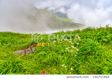 鳥海山的夏天:透過雲層的縫隙,可以看到白雪皚皚的山坡和前景中的高山植物。 鳥海山的夏天:透過雲層的縫隙,可以看到白雪皚皚的山坡和前景中的高山植物。 140741668