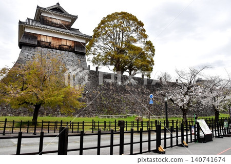 Kumamoto Prefecture: Kumamoto Castle's Hitsujisaru Turret, fresh greenery, and cherry blossoms in full bloom. Kumamoto Prefecture: Kumamoto Castle's Hitsujisaru Turret, fresh greenery, and cherry blossoms in full bloom. 140741674