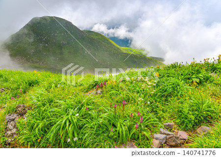 晴朗的夏日:白雲在鳥海山的健行步道和綠色山坡上緩緩升起。 晴朗的夏日:白雲在鳥海山的健行步道和綠色山坡上緩緩升起。 140741776