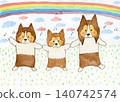 Three dogs (Shetland Sheepdogs) 140742574