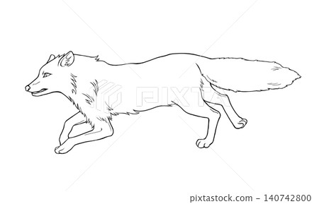 A realistic line drawing illustration of a running fox (side view). 140742800