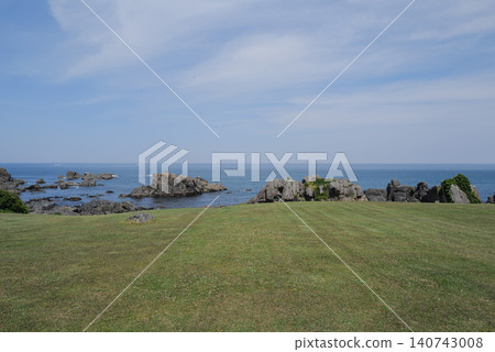 物種海岸的風景 140743008