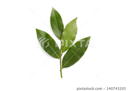 Green bay leaves display their rich color and texture in a natural setting, PNG 140743205