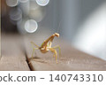 Mantis walk 140743310
