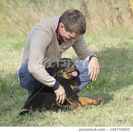 puppy rottweiler with owner puppy rottweiler with owner 140744005