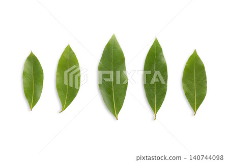 Fresh bay leaves display rich green hues and intricate structures, PNG Fresh bay leaves display rich green hues and intricate structures, PNG 140744098