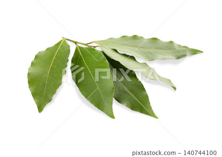Fresh bay leaves display rich texture and color, perfect for enhancing dishes, PNG Fresh bay leaves display rich texture and color, perfect for enhancing dishes, PNG 140744100