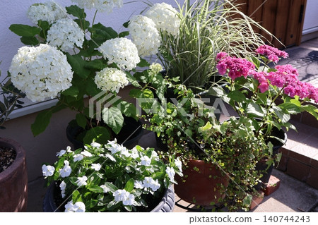 Flower arrangement in a pot in front of the entrance in early summer Flower arrangement in a pot in front of the entrance in early summer 140744243