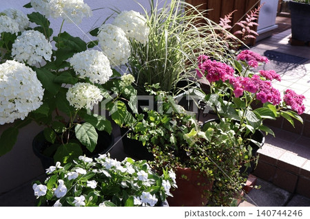 A potted arrangement of flowers in front of the entrance in early summer 140744246