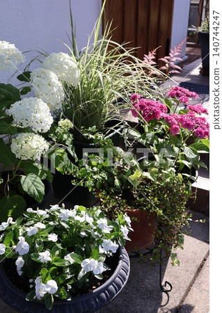 A potted arrangement of flowers in front of the entrance in early summer 140744247