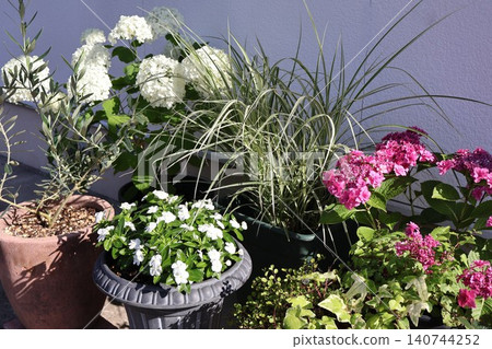 A potted arrangement of flowers in front of the entrance in early summer 140744252