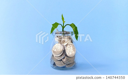 Concept or illustration of saving money: coins in a glass and a blooming plant. Concept or illustration of saving money: coins in a glass and a blooming plant. 140744350