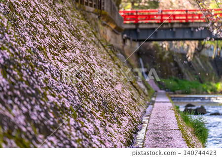 260416 Nakahashi Sakura g078 140744423