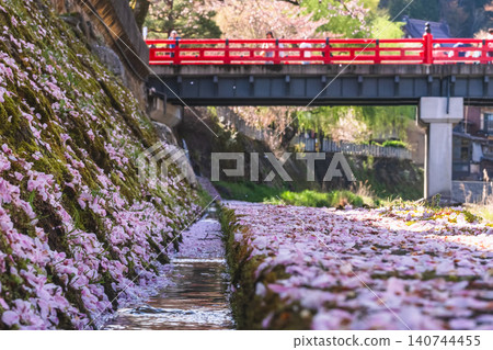 260416 Nakahashi Sakura g147 260416 Nakahashi Sakura g147 140744455