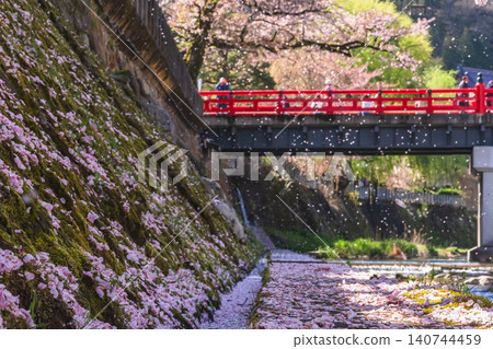 260416 Nakahashi Sakura g158 140744459