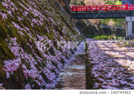260416 Nakahashi Sakura g191 260416 Nakahashi Sakura g191 140744463