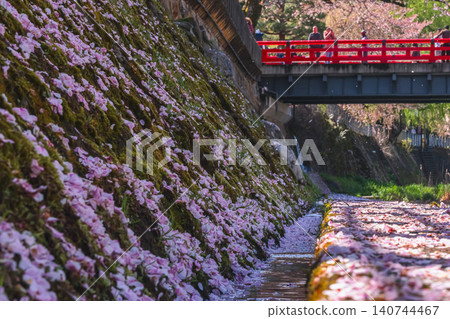 260416 Nakahashi Sakura g240 260416 Nakahashi Sakura g240 140744467