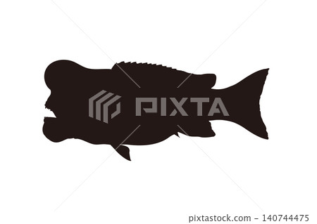 Silhouette illustration of a humphead wrasse 140744475