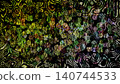 Jungle camouflage, green camouflage pattern 140744533