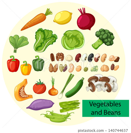 Assorted Vegetables and Beans Vector Illustration 140744637