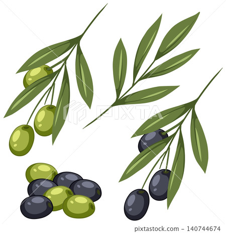 Mediterranean Olive Branches and Fruit Vector Illustration Set Mediterranean Olive Branches and Fruit Vector Illustration Set 140744674