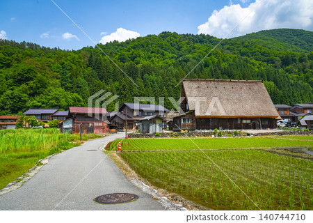 初夏時節,白川鄉的梯田風光 初夏時節,白川鄉的梯田風光 140744710