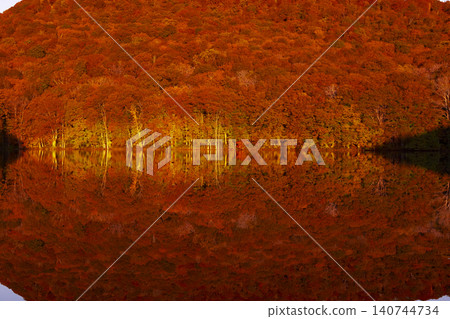 Tsutanuma Marsh: Autumn leaves at sunrise 140744734