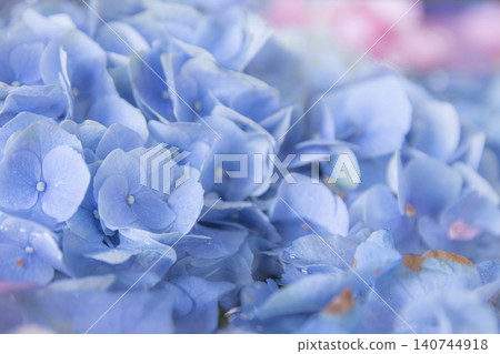 盛滿色彩鮮豔繡球花的精美水盆插花。 140744918