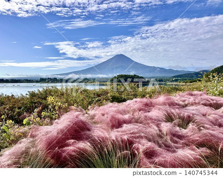 Muhlenbergia and Mt. Fuji 140745344