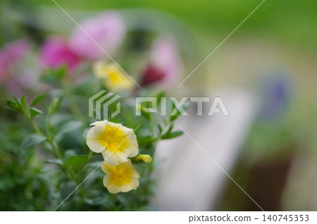 Flowers on the bench 140745353