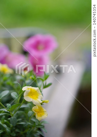 長椅上的花 長椅上的花 140745354