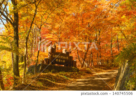 Autumn foliage at Yamanashi Prefectural Takeda no Mori Health Forest Autumn foliage at Yamanashi Prefectural Takeda no Mori Health Forest 140745506