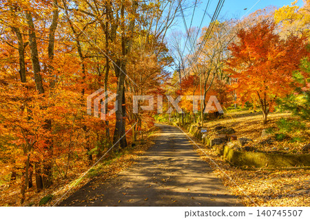 Autumn foliage at Yamanashi Prefectural Takeda no Mori Health Forest Autumn foliage at Yamanashi Prefectural Takeda no Mori Health Forest 140745507