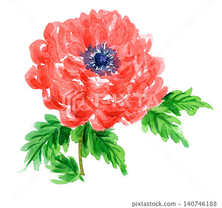 Watercolor painting of anemone (26320 pixels, 7 pixels) Watercolor painting of anemone (26320 pixels, 7 pixels) 140746188