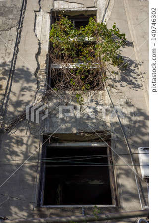 Ivy growing profusely in an abandoned apartment building Ivy growing profusely in an abandoned apartment building 140746302