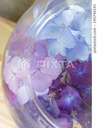 Hydrangea with hydrangeas Hydrangea with hydrangeas 140746543