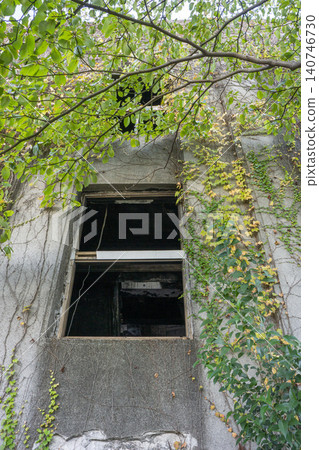 Ivy growing profusely in an abandoned apartment building Ivy growing profusely in an abandoned apartment building 140746730