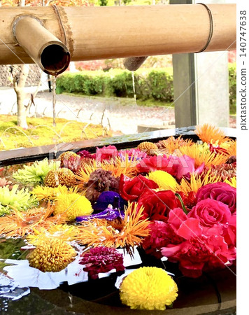 Beautifully decorated autumn flower arrangements of chrysanthemums and roses in the temple grounds. Beautifully decorated autumn flower arrangements of chrysanthemums and roses in the temple grounds. 140747638