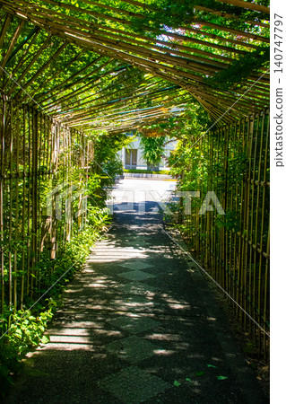 梨城神社:三條父子與愛情樹的祝福:學業成功、姻緣美滿、家庭平安、身體健康、長壽。 梨城神社:三條父子與愛情樹的祝福:學業成功、姻緣美滿、家庭平安、身體健康、長壽。 140747797