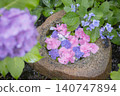 Colorful hydrangeas floating in a flower-filled water basin 140747894