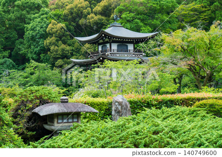 Pine trees and lanterns at Kanshuji Temple in Kyoto 140749600