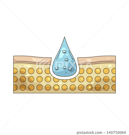 Illustration of skin hydration process Illustration of skin hydration process 140750069