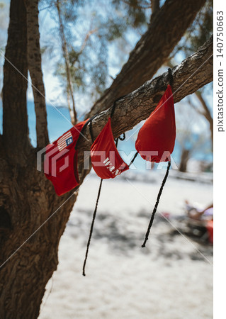 Red Bikini Hanging On Beach Tree Red Bikini Hanging On Beach Tree 140750663
