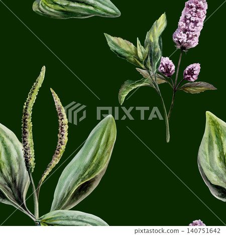 Plantain and mint mix seamless pattern watercolor illustration on dark background. Herbs blend for premium men grooming packaging, organic cooling cosmetics branding, natural detox wellness print Plantain and mint mix seamless pattern watercolor illustration on dark background. Herbs blend for premium men grooming packaging, organic cooling cosmetics branding, natural detox wellness print 140751642