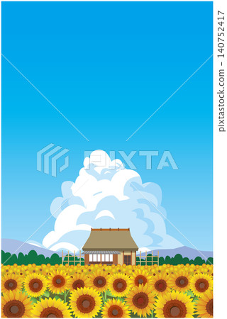 夏天向日葵領域風景 夏天向日葵領域風景 140752417